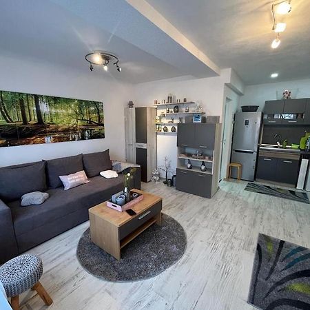 Apartament Acasa Sf.Gheorghe Sfântu-Gheorghe Esterno foto