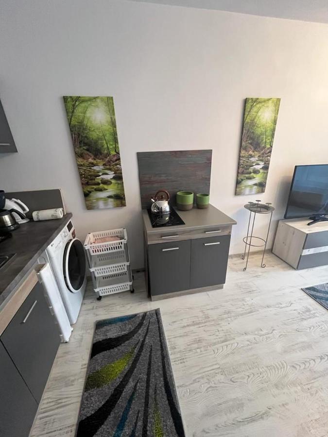 Apartament Acasa Sf.Gheorghe Sfântu-Gheorghe Esterno foto
