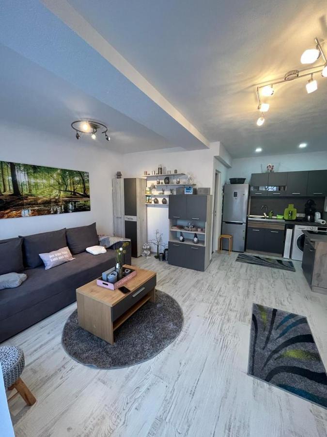 Apartament Acasa Sf.Gheorghe Sfântu-Gheorghe Esterno foto
