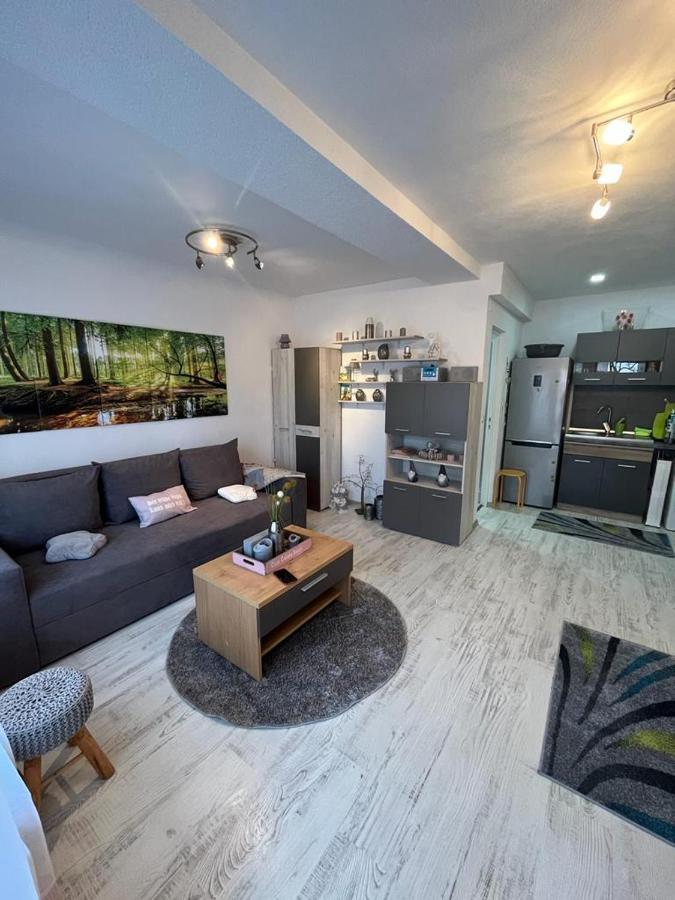 Apartament Acasa Sf.Gheorghe Sfântu-Gheorghe Esterno foto